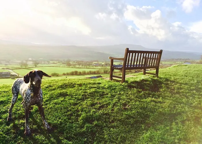 The Old Chapel Ferienhaus Leyburn